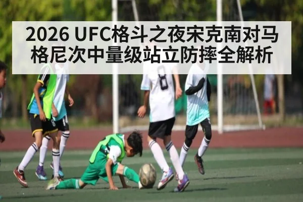2026 UFC格斗之夜宋克南对马格尼次中量级站立防摔全解析